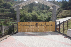 Gallery | Cottages by the Creek Kodikanal 15